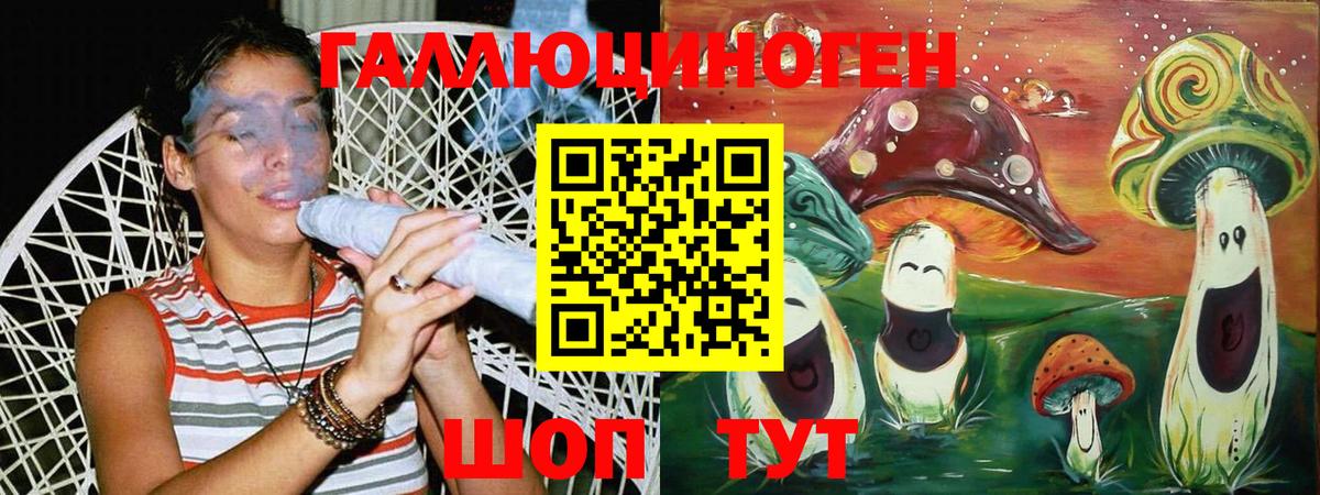 Псилоцибиновые грибы мицелий Советская Гавань