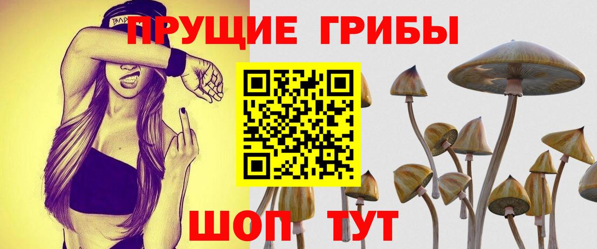 Советская Гавань  Псилоцибиновые грибы MAGIC MUSHROOMS  Вход с VPN  Псилоцибиновые грибы Magic Shrooms 